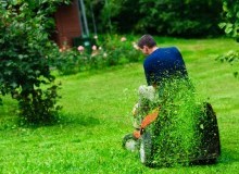Kwikfynd Lawn Mowing
torbanlea